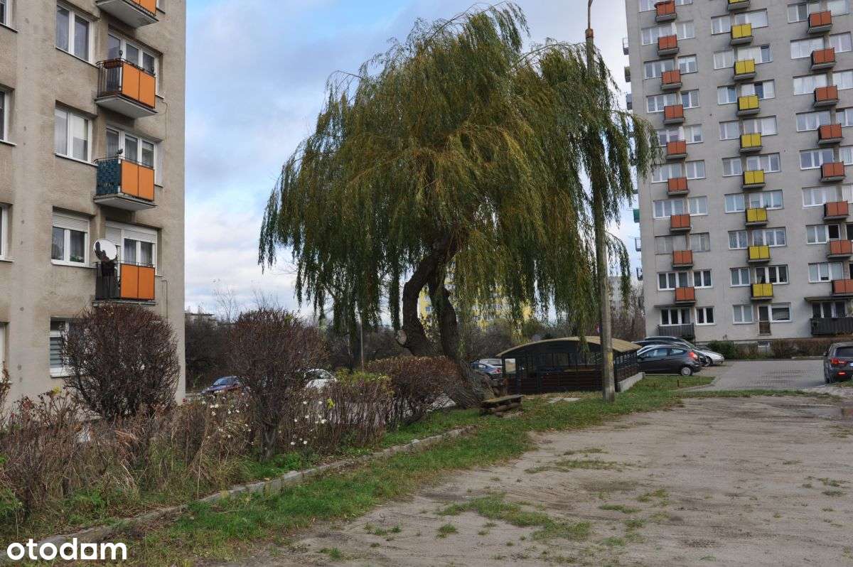 Gdańsk Orunia - 2 pokoje mieszkanie blisko parku-12