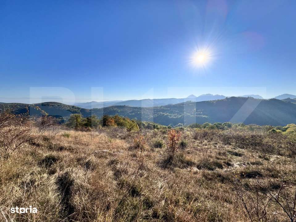 Teren de vanzare - Imagine principală: 3/3