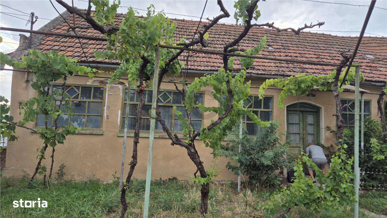 RECO Casa in Cheresig - Imagine principală: 4/12