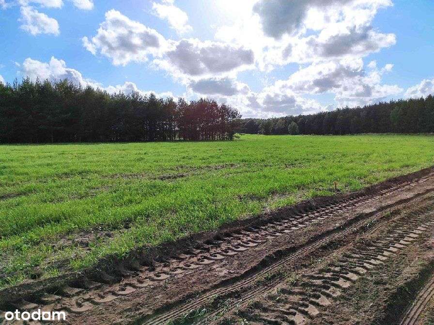 Działki Budowlane Przy Lesie Państwowym - Pełny obrazek: 4/6