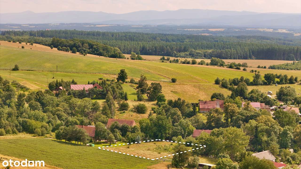 Działka z mediami w spokojnej i atrakcyjnej lokalizacji we wsi Rząsiny - Pełny obrazek: 4/11