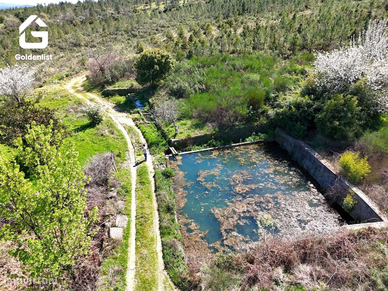 Herdade  Venda em Penamacor,Penamacor-6