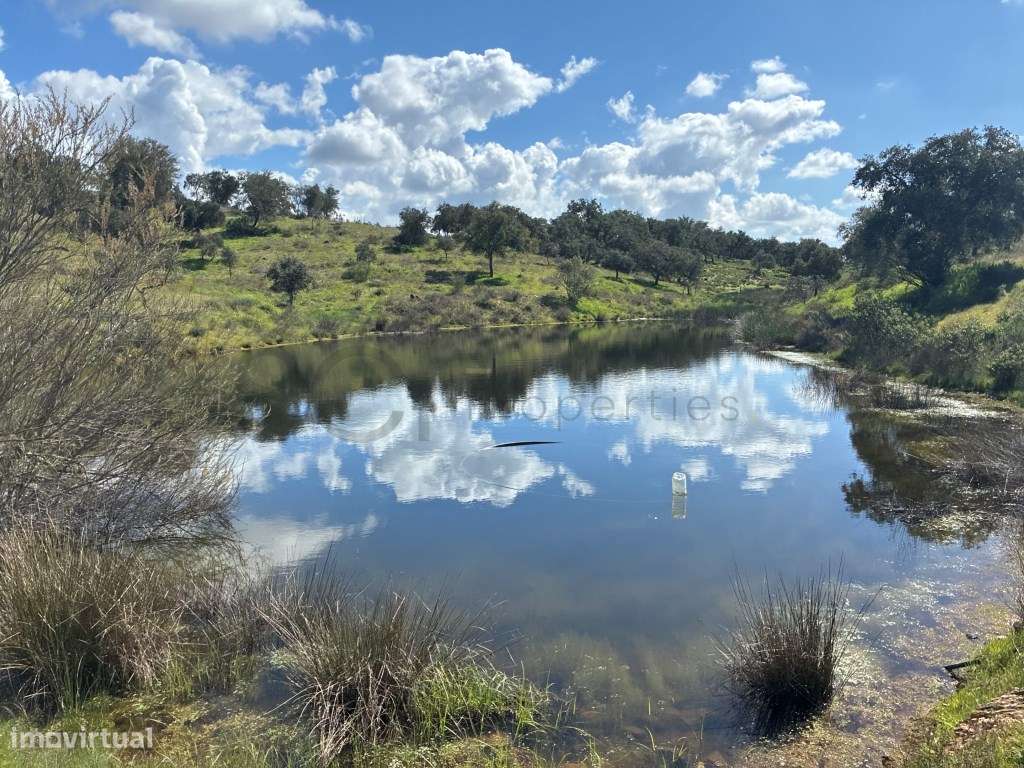 Quinta T2 em Serpa | Vista para a barragem-34