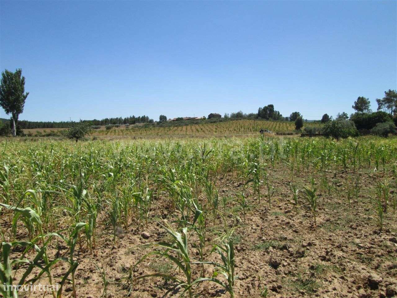 Quinta Estúdio / Fundão, Enxames - Grande imagem: 4/7