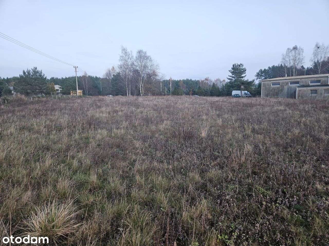 Kamień działka budowlana w okolicy lasu i jeziora - Pełny obrazek: 2/4