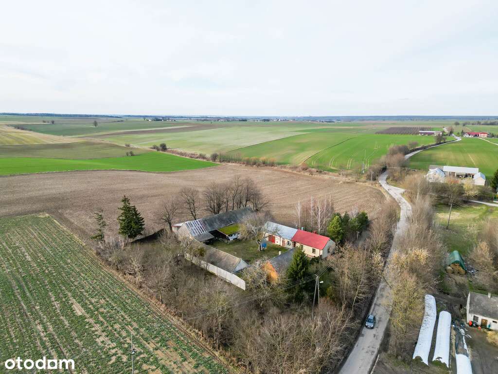 Urocze siedlisko, 2 domy, piękna działka, 5633m2 - Pełny obrazek: 4/20