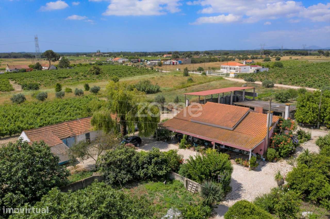 Herdade D. Alda - vinhas prestigiadas e premiadas! - Grande imagem: 2/23