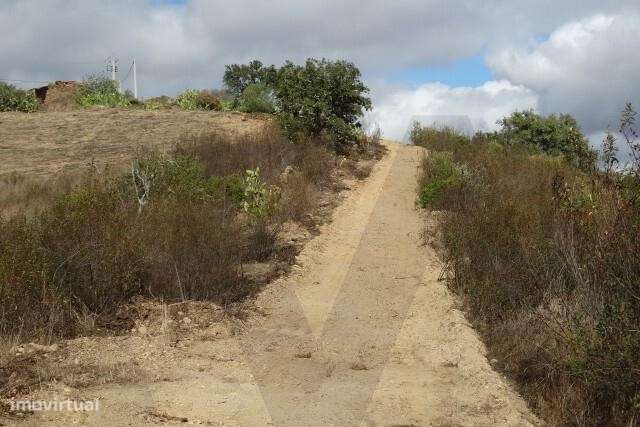 MONTE BRANCO DA VINHA COM POSSIBILIDADE DE CONSTRUÇÃO - SANTANA DA SER - Grande imagem: 4/14