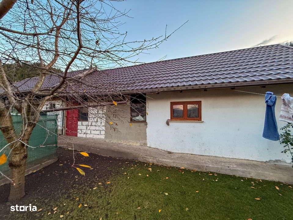 Vila ta in mijlocul naturii | Vadurele, zona superba-14