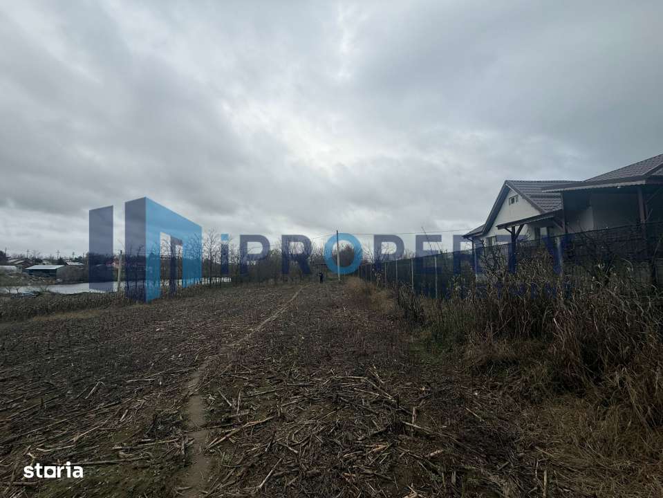 Teren 2.000 Mp | Ileana - Calarasi | Dubla Deschidere Stradala - Imagine principală: 3/5