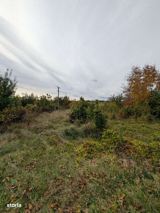 Teren 1966m Arcadie Șeptilici - TNT( Iner)-7