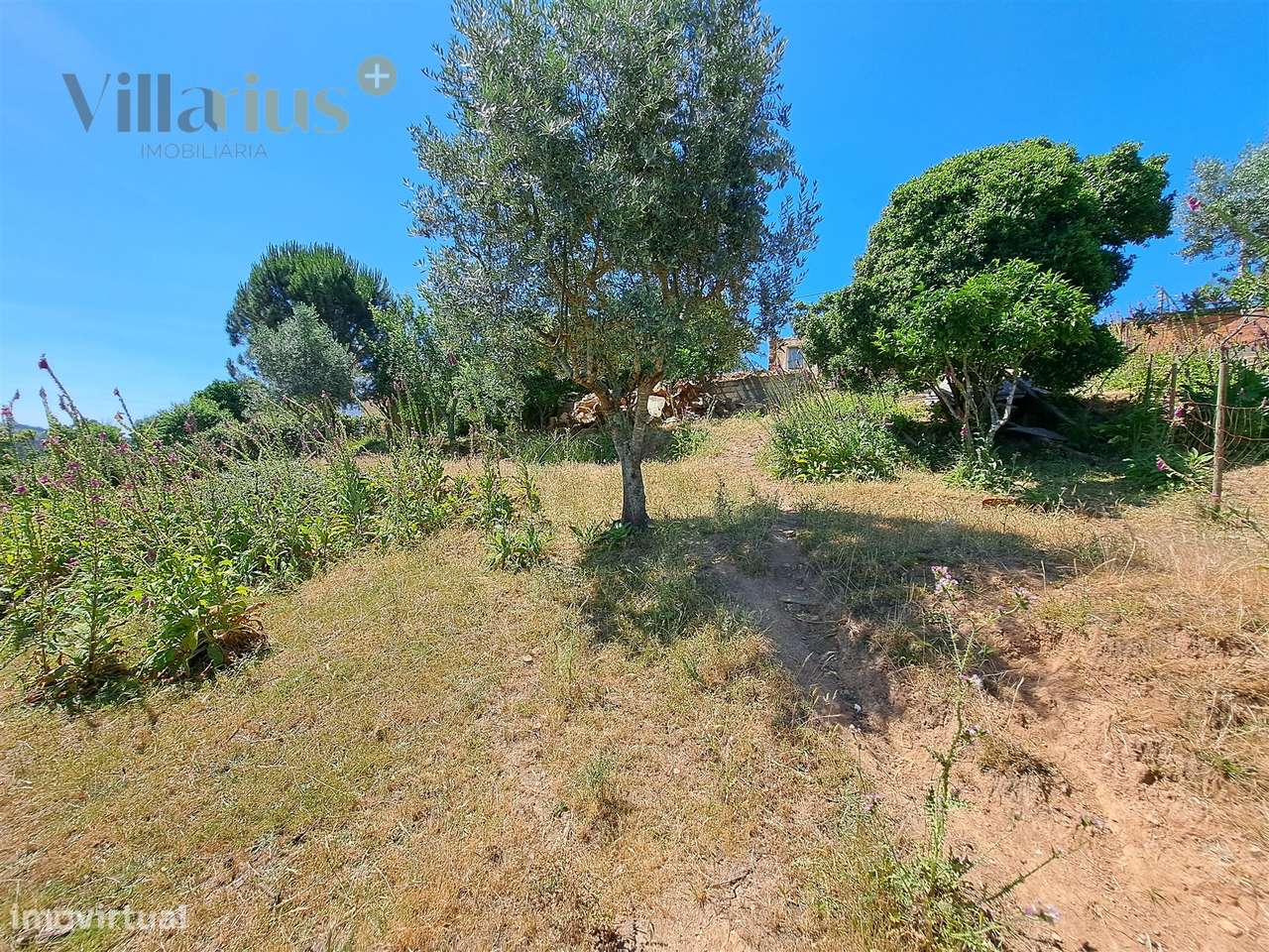 Terreno Urbano com Vista e Acesso Rápido a Tomar | Villarius Imobiliár-21