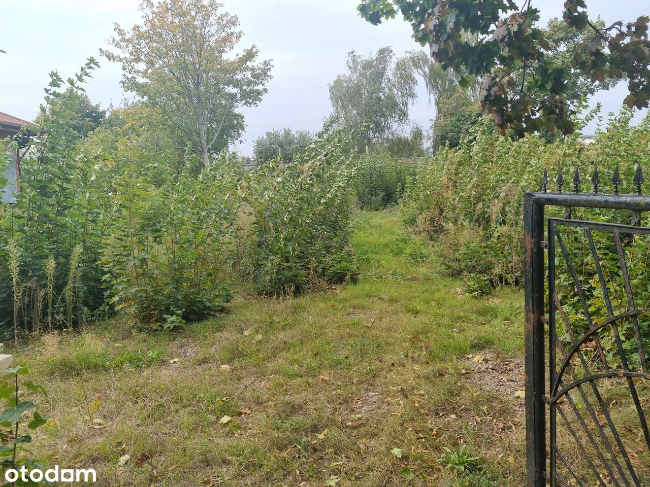 Przeźmierowo ul. Lipcowa Działka bud. 1200m2-4