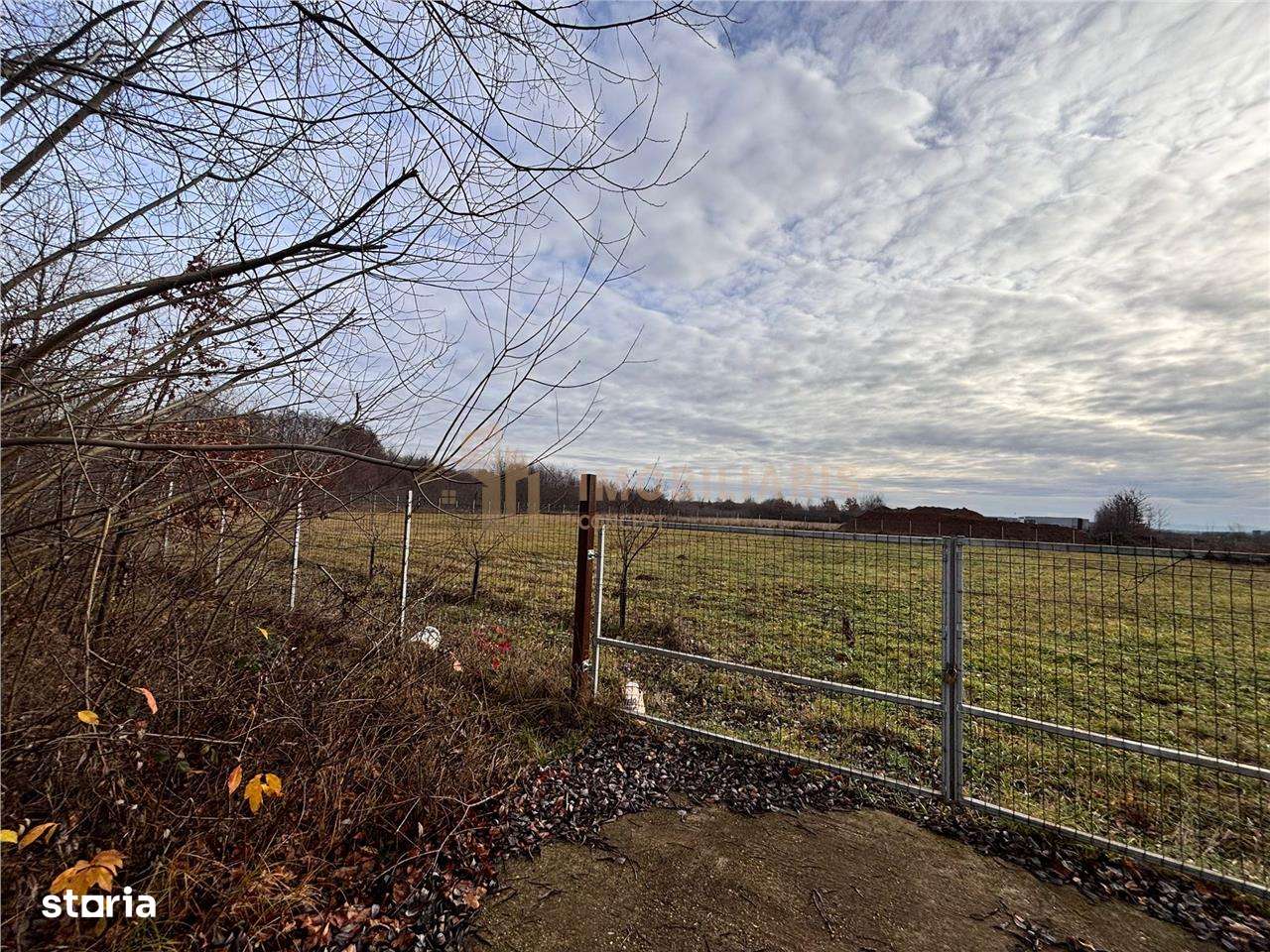 Teren intravilan Tautii Magheraus-4