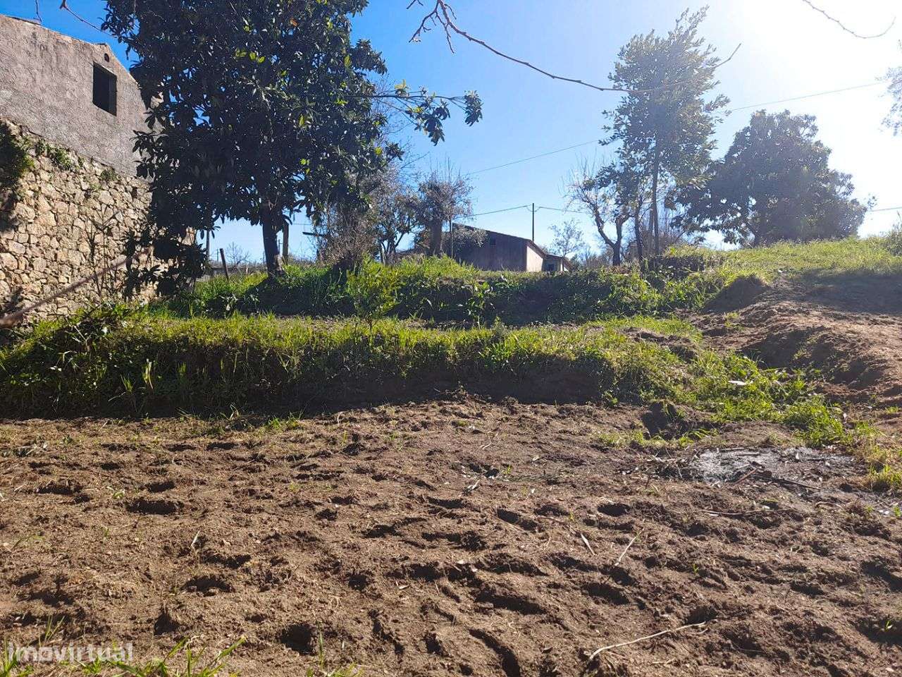 Quintinha - Grande imagem: 3/8