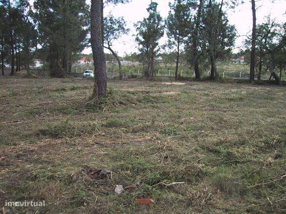 Azeitão / Brejos Azeitão Terreno 5000m2 . - Grande imagem: 3/12