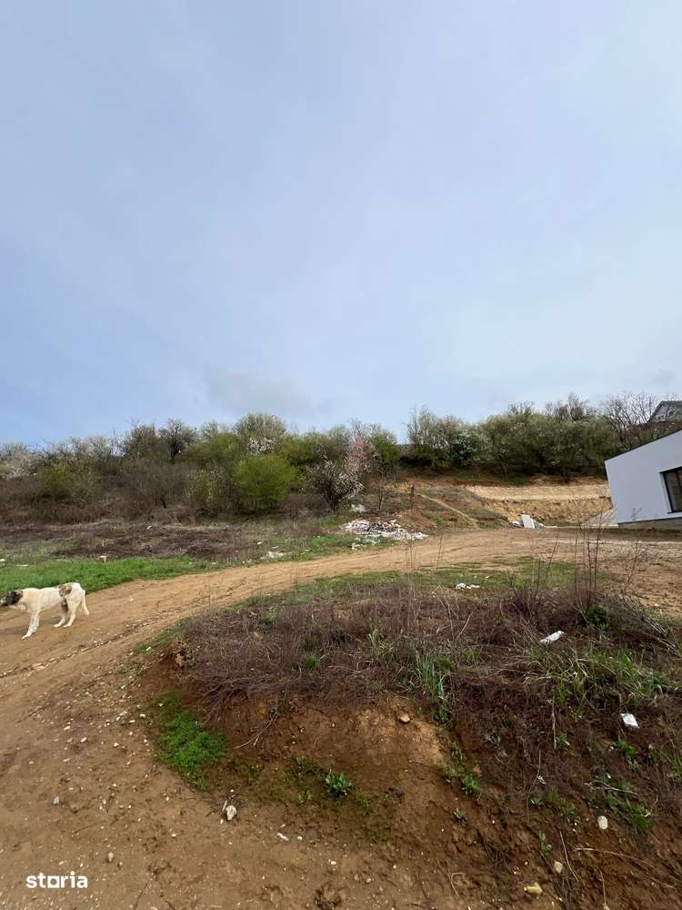 Intravilan, toate utilitățile- Oncea(Str.Prunilor) - Imagine principală: 2/5