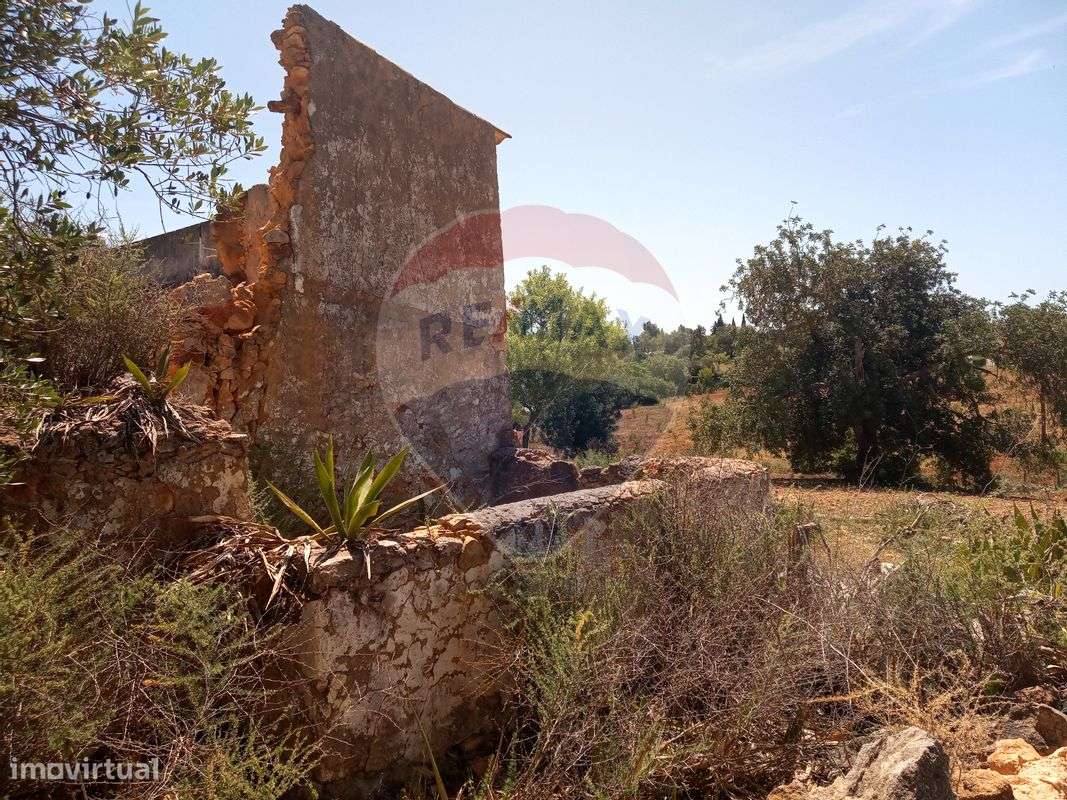 Terreno  para venda - Grande imagem: 4/16