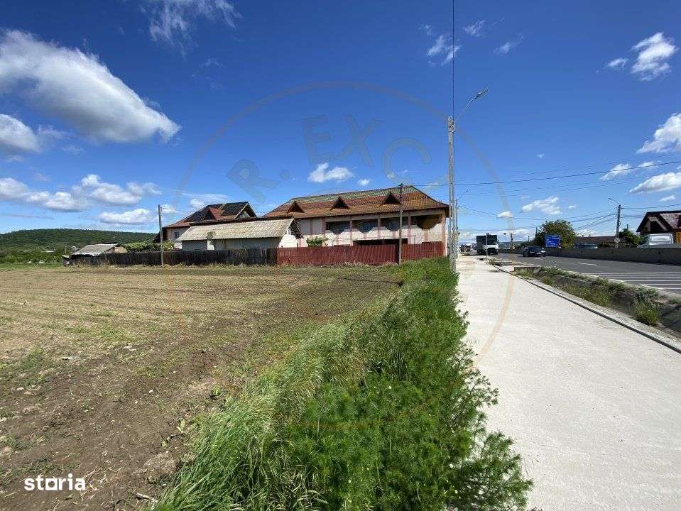 Teren intravilan 7.295 mp – Argeselu, Maracineni, AG - Imagine principală: 5/7
