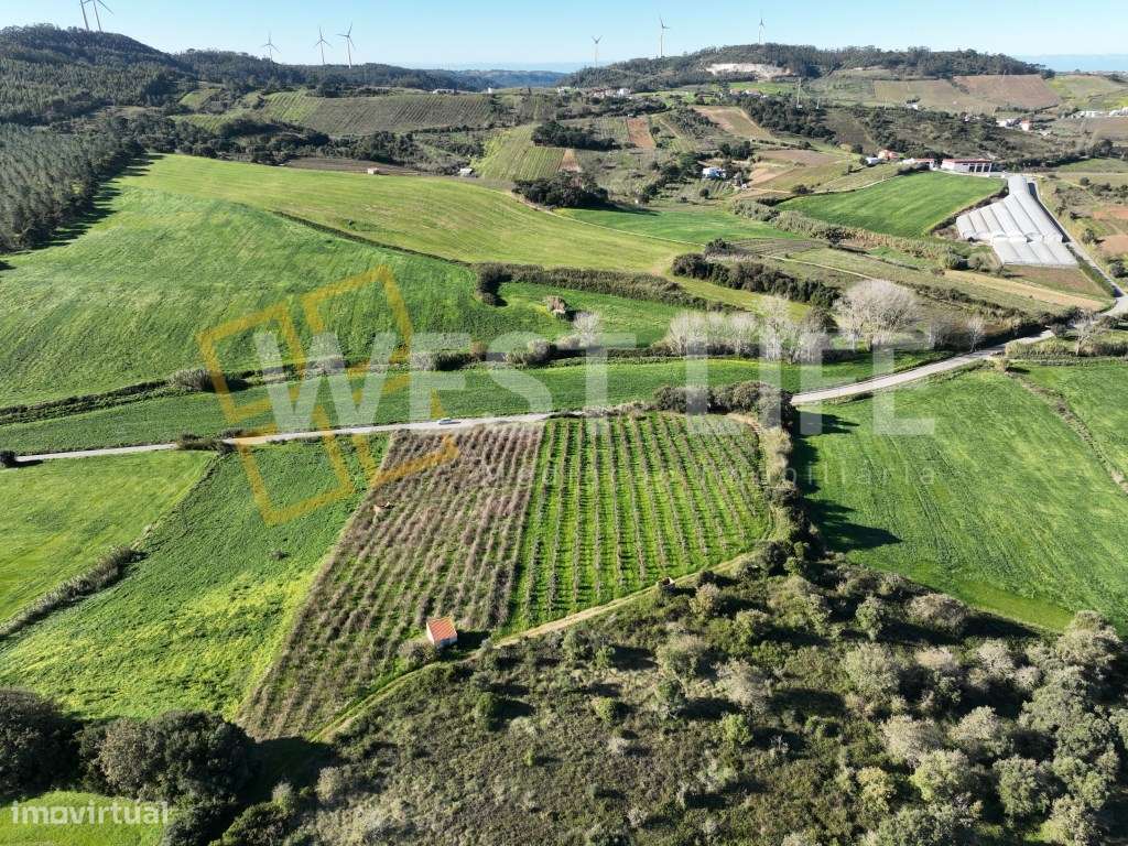 Terreno agrícola de 12040m2 com poço e casa de apoio para a ativida... - Grande imagem: 2/18