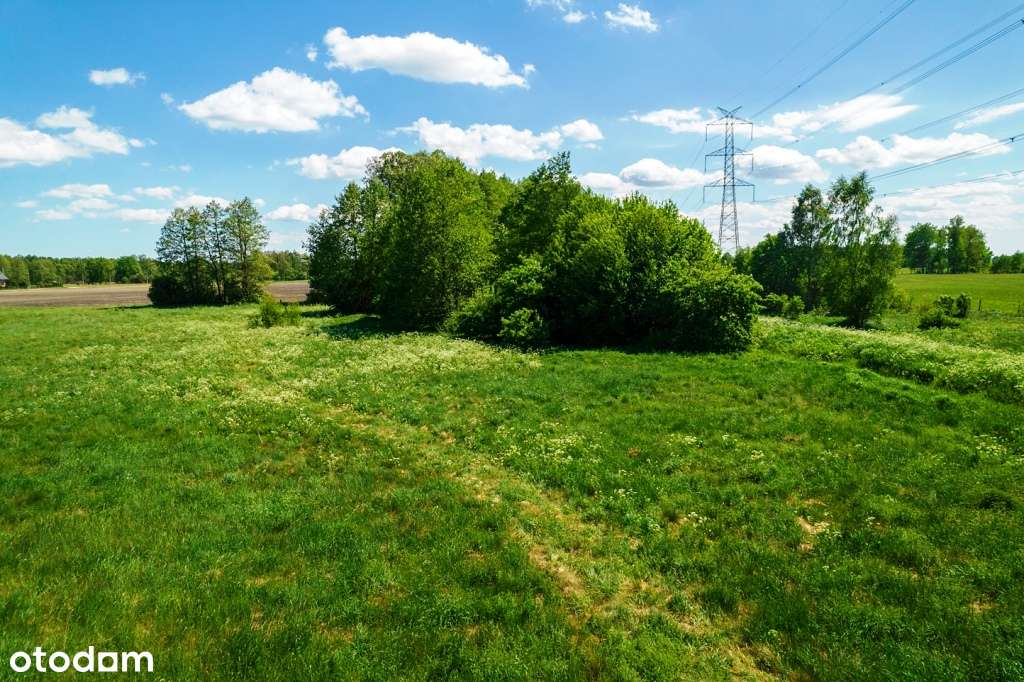 Działki budowlane w otoczeniu lasów i łąk - sielskie klimaty-13