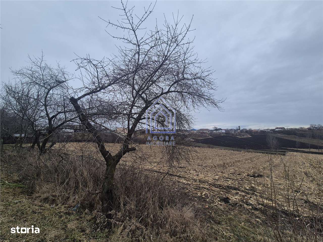 Teren Moara Nica - zona Scolii-3