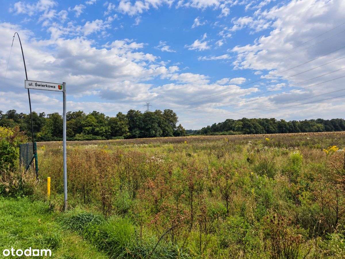 6500 m² w Zaborze Wielkim – las, przestrzeń, WZ-1