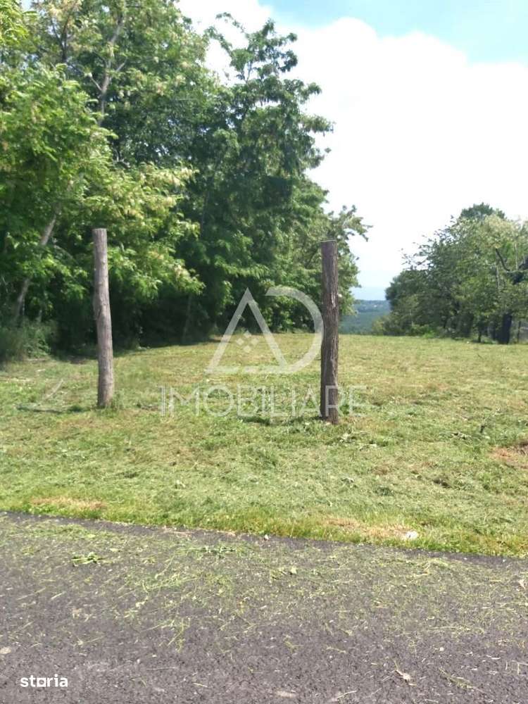 Peisaj de Poveste în Com. Turcinești, (Jud. Gorj) - Imagine principală: 5/7