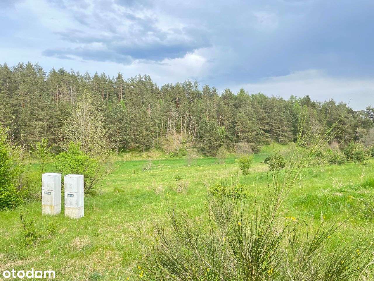 piękna działka budowlana przy Parku Krajobrazowym - Pełny obrazek: 5/13