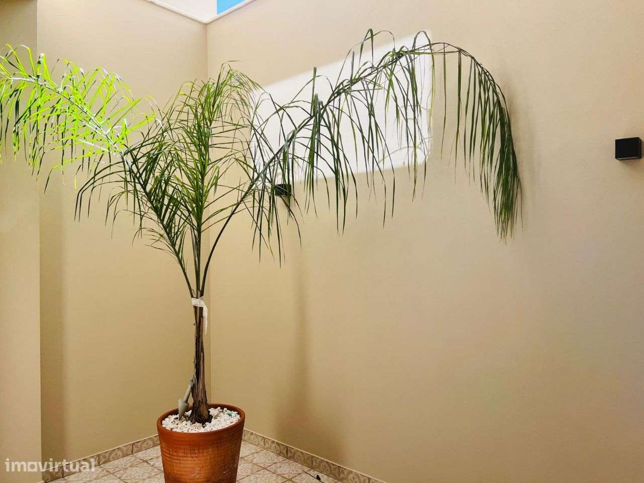 Moradia T4 com garagem baixa de Faro-49