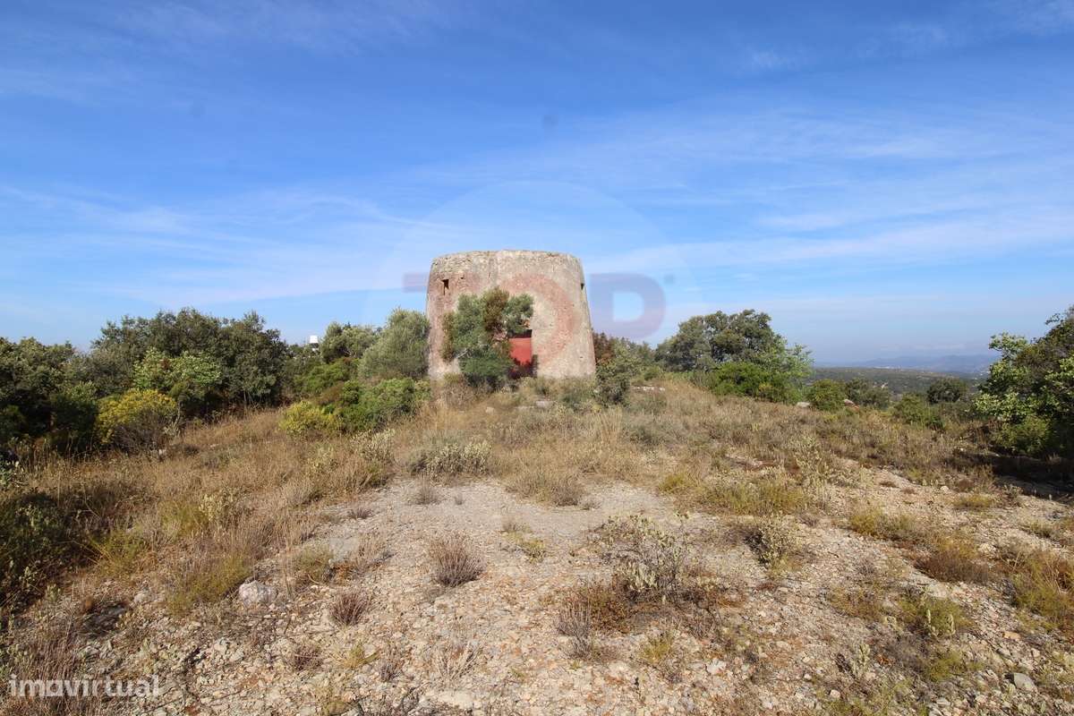 Lote Urbano - Moradia T4 com Piscina e Moinho Histórico com Vista Pano - Grande imagem: 4/39