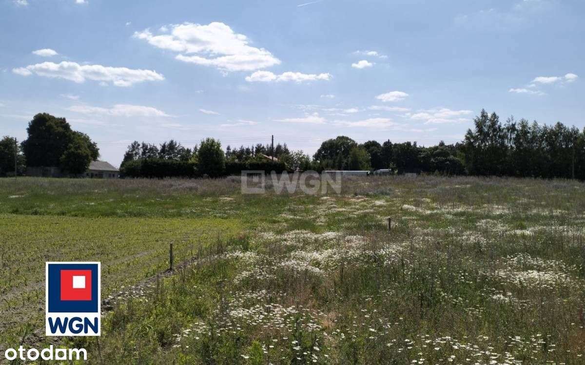 Działka, 1 120 m², Grzybno - Pełny obrazek: 5/8