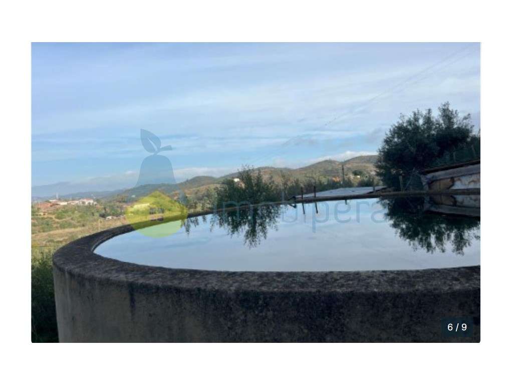 Terreno de 52.000 m² com Frente de Rio e Cais Licenciado - Oportuni... - Grande imagem: 4/21