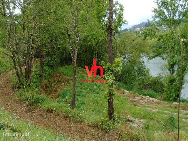 Quinta Magnifica Em Amarante Com Frente Rio e Possibilidade de Ancorad-12