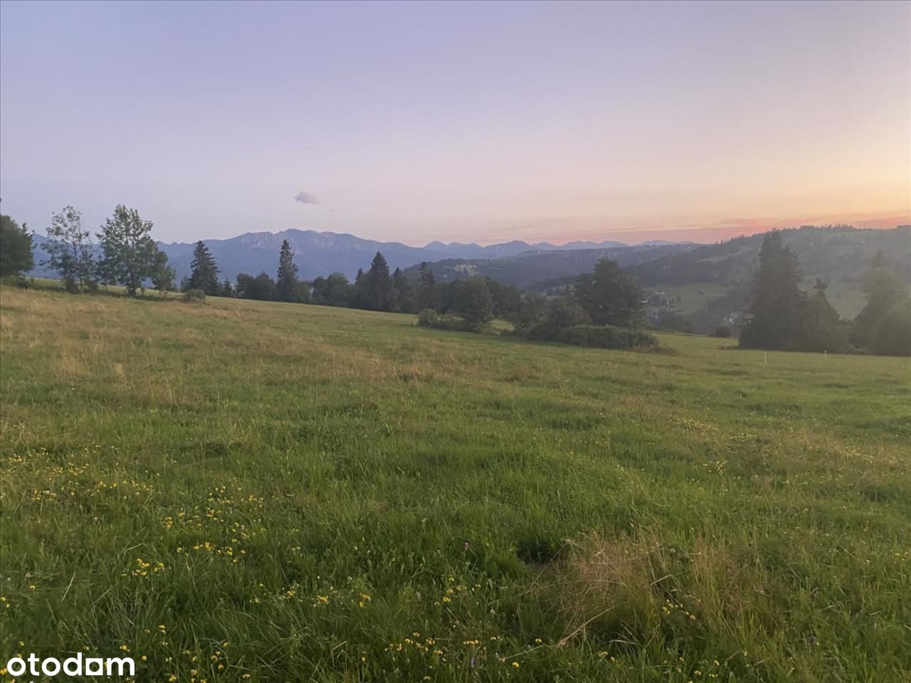 Urokliwa działka z pięknym widokiem na Tatry!