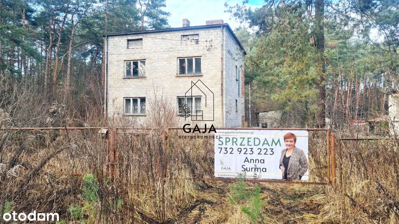 Żarki Letnisko | działka 2029 m² | 300 000 zł - Pełny obrazek: 5/5