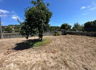 Casa com Quintal - Grande imagem: 3/7
