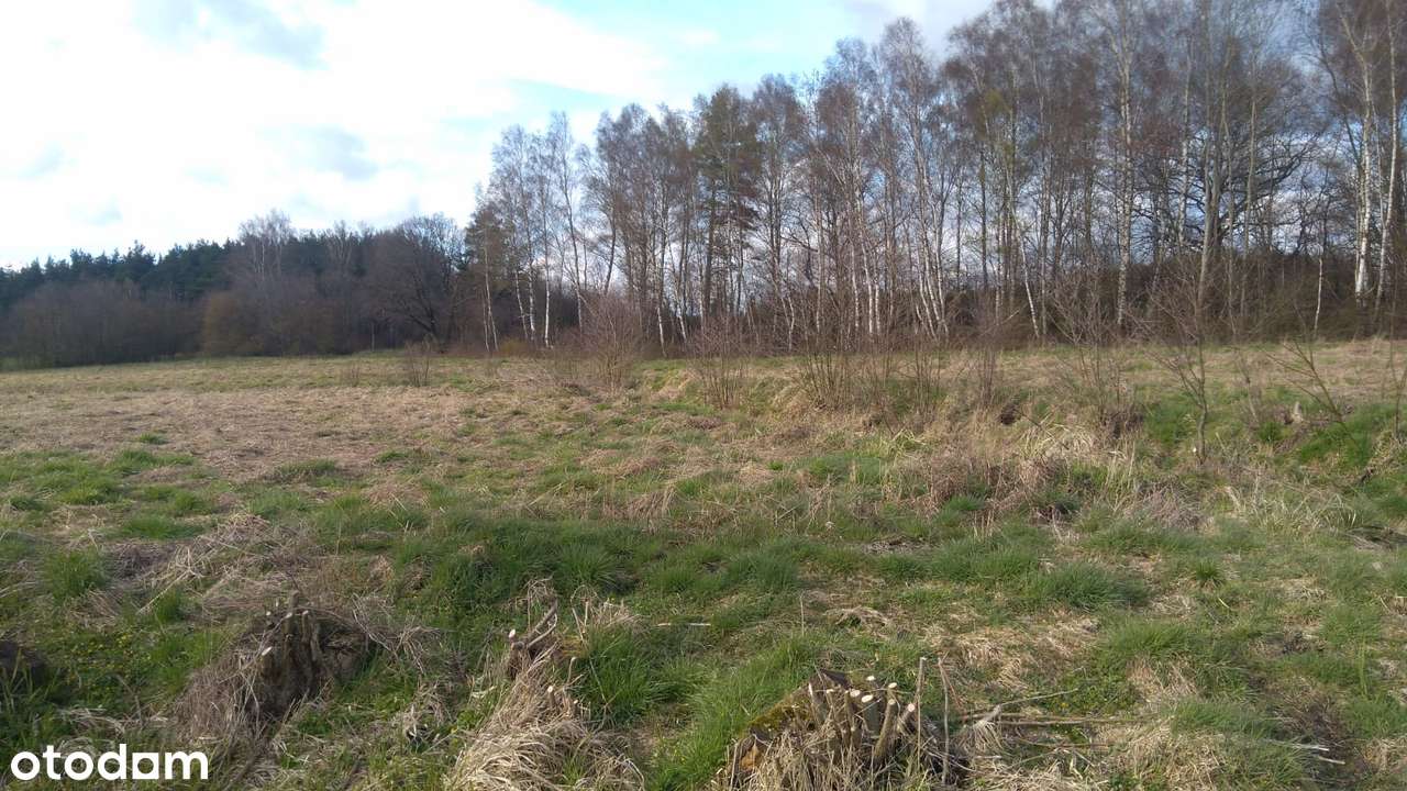 Działki blisko morza w super cenie-0