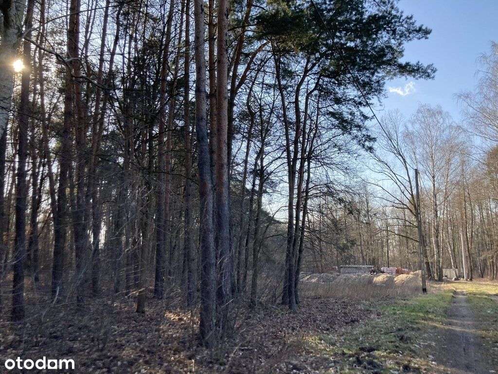 Pęclin, gm. Wiązowna, 3500 m2-7