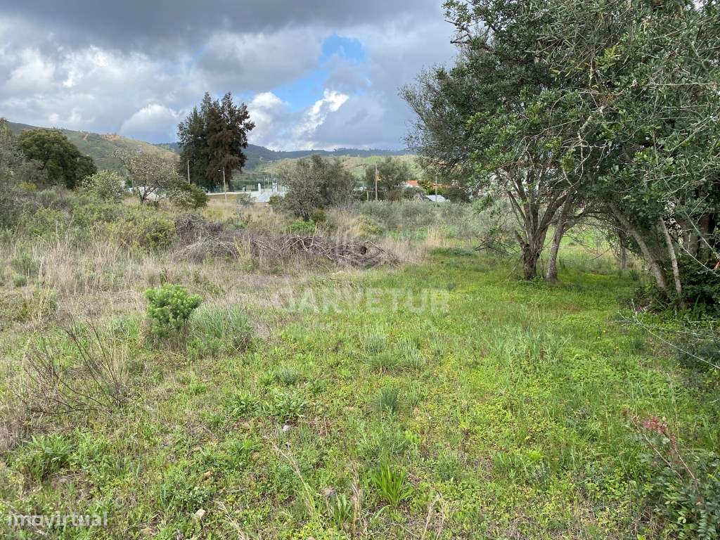 Terreno Rustico com 8 600m2, Salir, Algarve - Grande imagem: 3/17