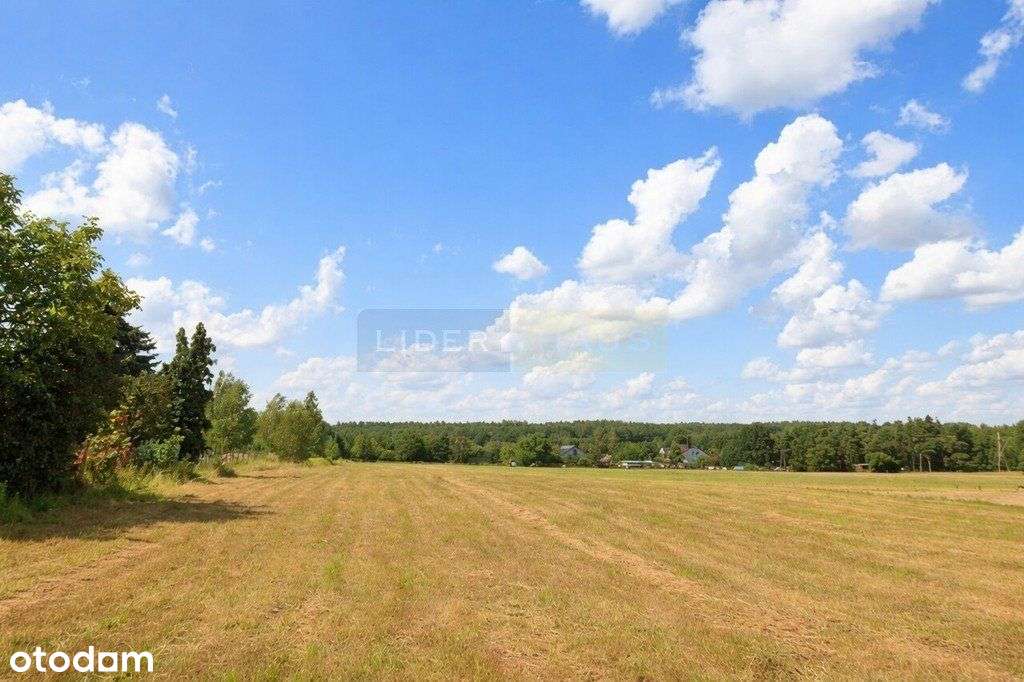 Dom Idealny Dla Rodziny I Pracy Zdalnej - Wymysły-2
