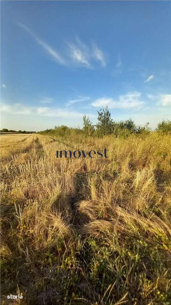 De vanzare teren extravilan - Imagine principală: 4/7