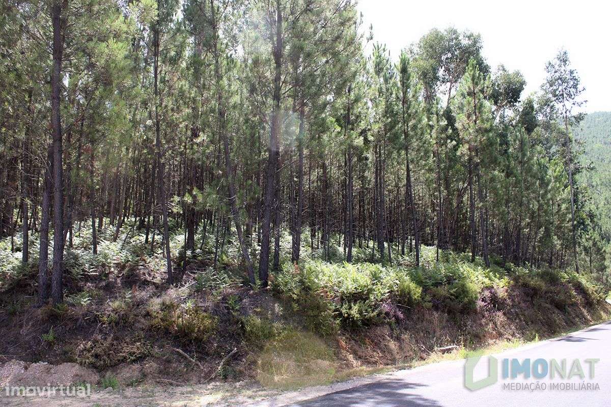 Quinta - Grande imagem: 2/32