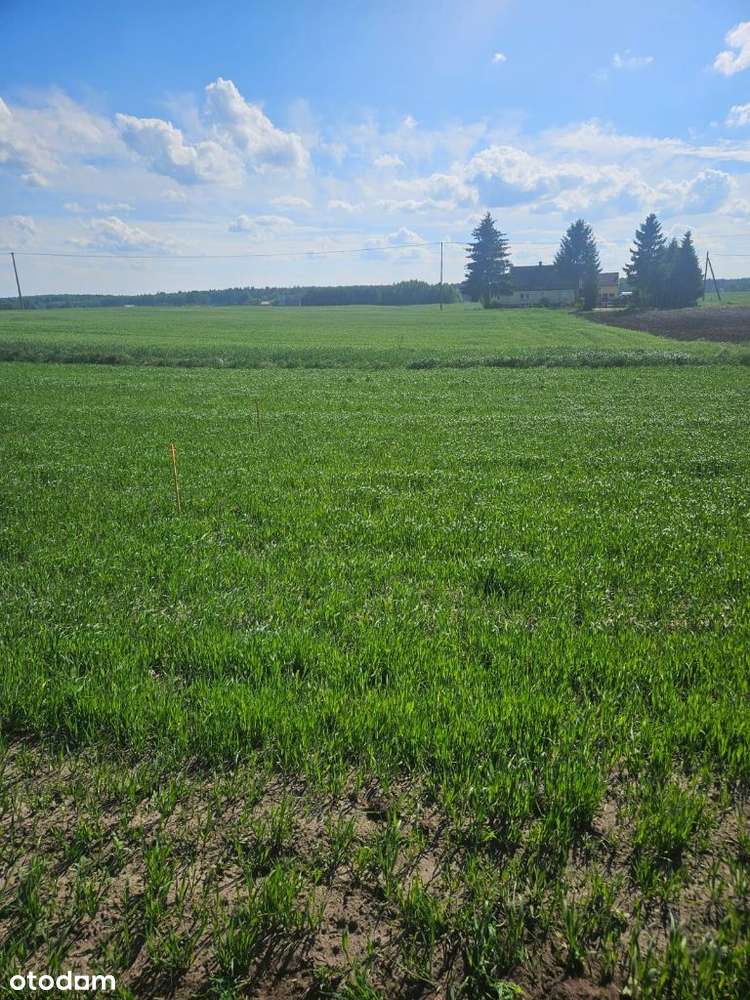 Działka budowlana Wielki Bukowiec dz.nr 619/1-4