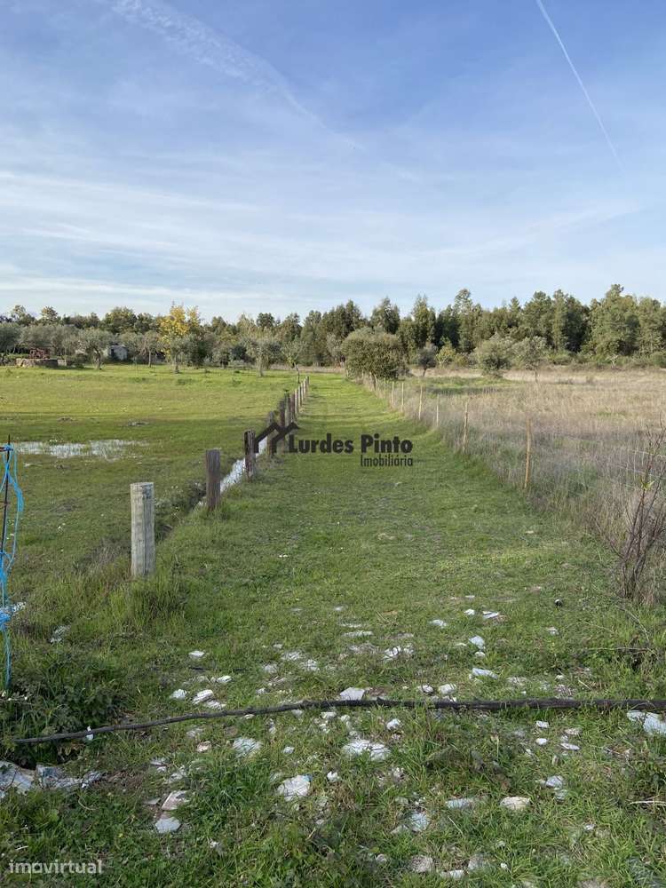 Quinta com arrecadação - Grande imagem: 2/11