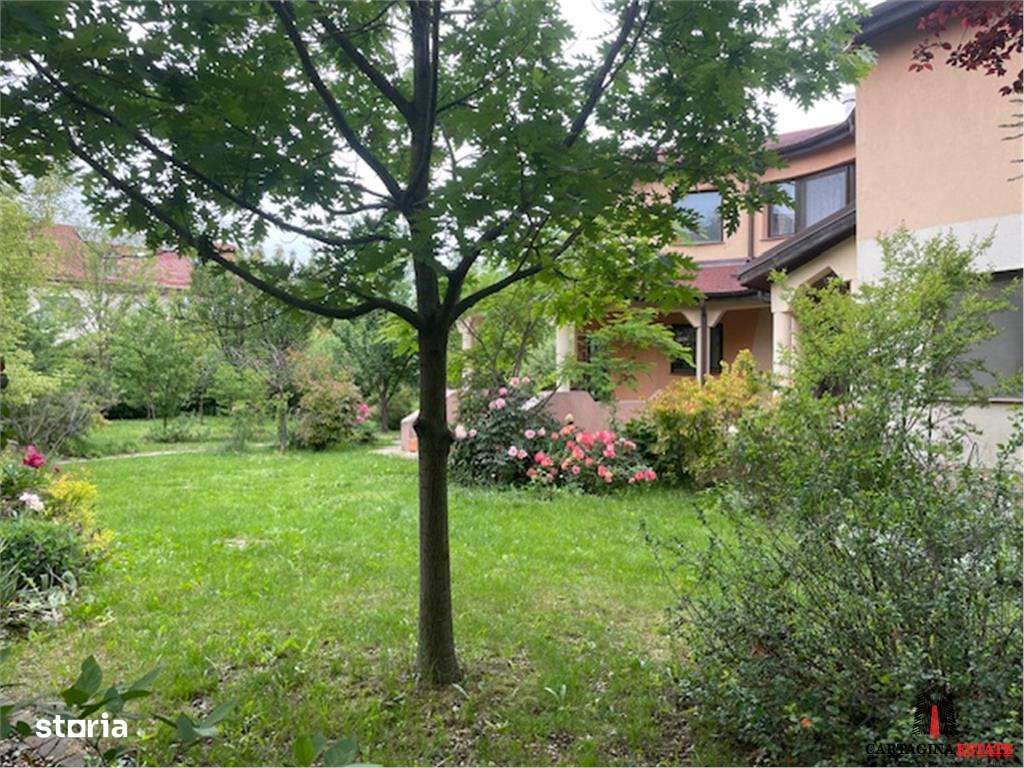 VILA INDIVIDUALA  P+1  PIPERA  DRUMUL BISERICII  1350MP TEREN-1