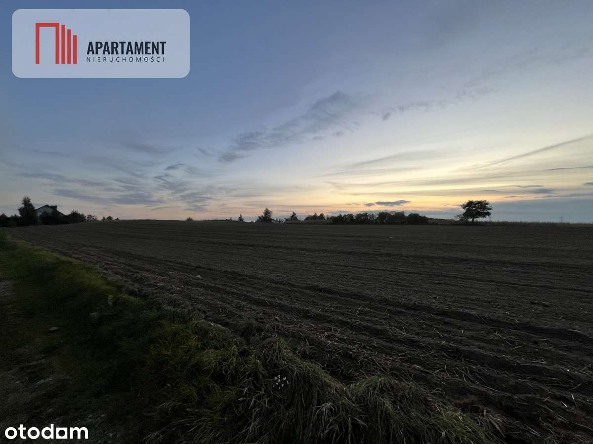 Działki z WZ - Zielonczyn - Pełny obrazek: 5/5