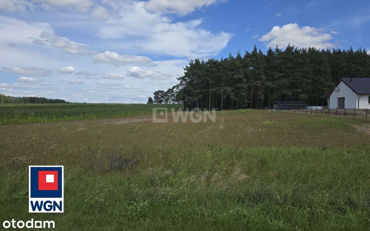 Działka z mediami pod lasem - Pełny obrazek: 4/8