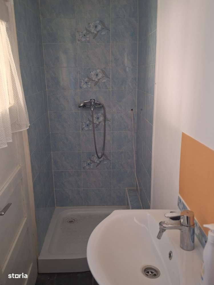 Casa la tara -Saliste-7