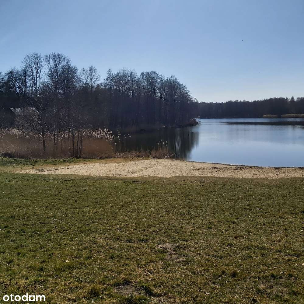 Nienawiszcz, rola, blisko Rogoźna, pod inwestycję-7